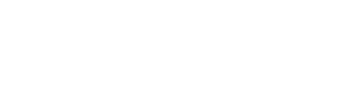 Zontes